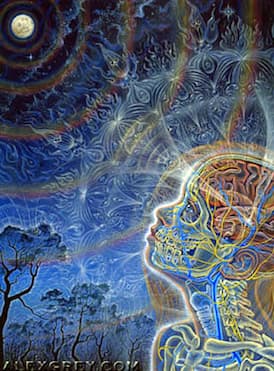Artwork for Episode 89 – James W. Jesso – Psilocybin, Plant Medicine, Deconstructing the Ego & Surrender
