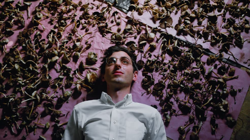 Artwork for Episode 98 – Hamilton Morris on Chemistry, obscure compounds and working with VICELAND